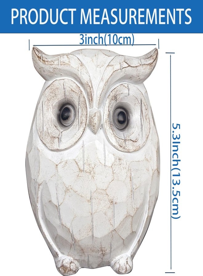 QIAOIDEA Rustic Carved Owl Figurine - Chubby Owl Decor for Home and Office - Shelf, Desktop, Cabinet, Fireplace Mantel - Image 5